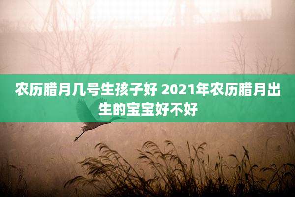 农历腊月几号生孩子好 2021年农历腊月出生的宝宝好不好