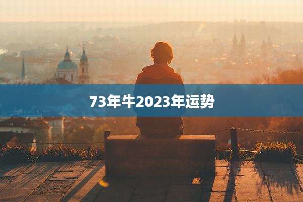 73年牛2023年运势