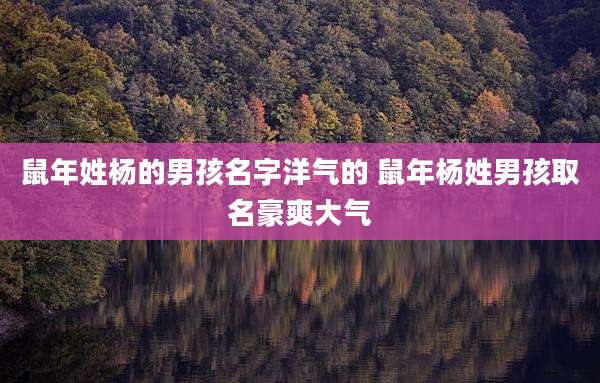 鼠年姓杨的男孩名字洋气的 鼠年杨姓男孩取名豪爽大气