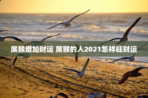 属猴增加财运 属猴的人2021怎样旺财运