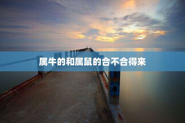 属牛的和属鼠的合不合得来