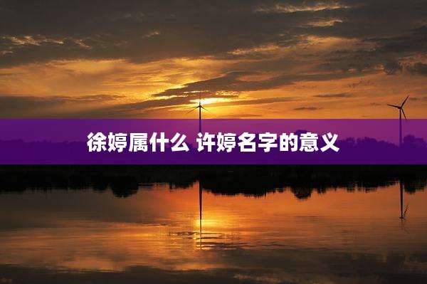 徐婷属什么 许婷名字的意义