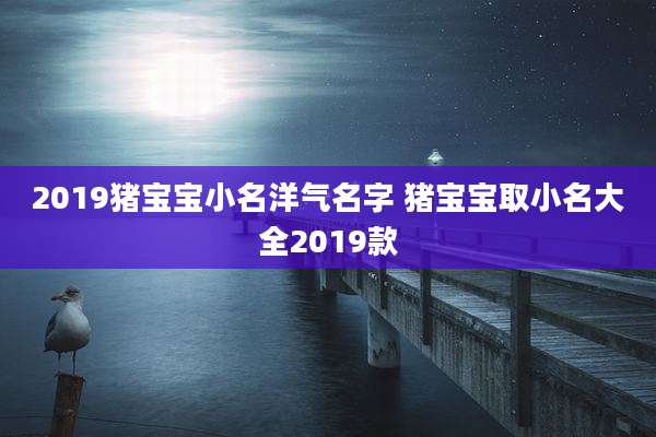 2019猪宝宝小名洋气名字 猪宝宝取小名大全2019款