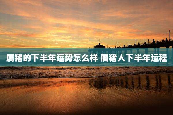 属猪的下半年运势怎么样 属猪人下半年运程