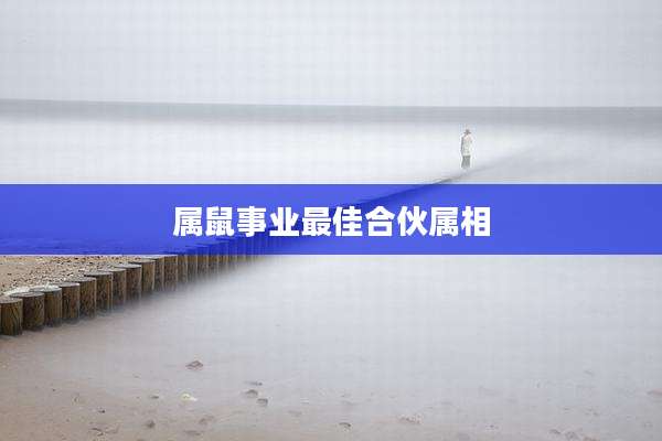 属鼠事业最佳合伙属相