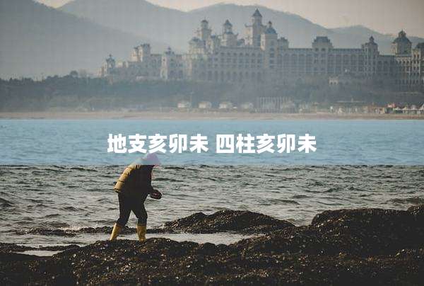 地支亥卯未 四柱亥卯未