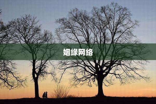 姻缘网络