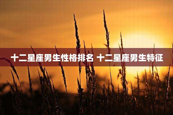 十二星座男生性格排名 十二星座男生特征
