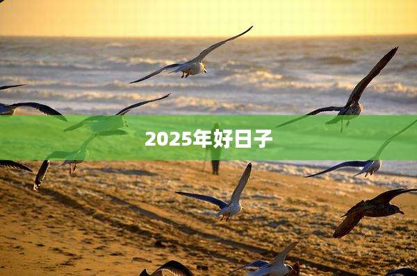 2025年好日子