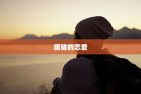 属猪的恋爱