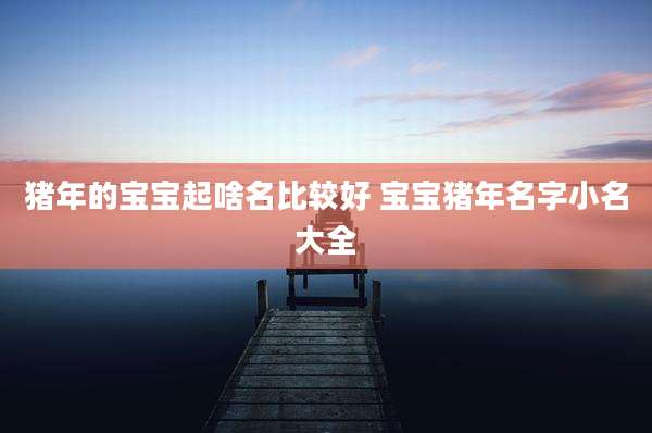 猪年的宝宝起啥名比较好 宝宝猪年名字小名大全