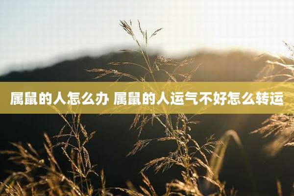 属鼠的人怎么办 属鼠的人运气不好怎么转运