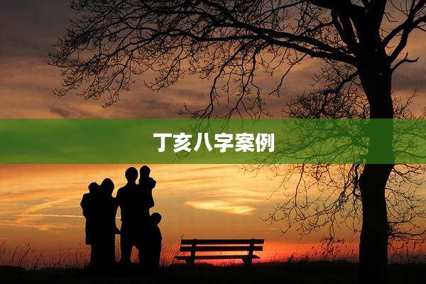 丁亥八字案例
