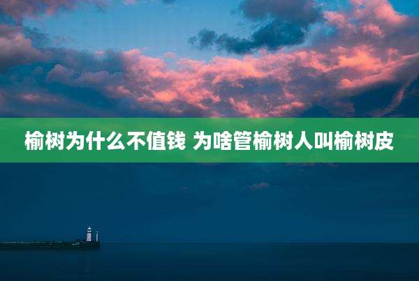 榆树为什么不值钱 为啥管榆树人叫榆树皮