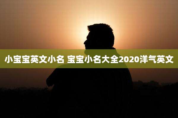 小宝宝英文小名 宝宝小名大全2020洋气英文