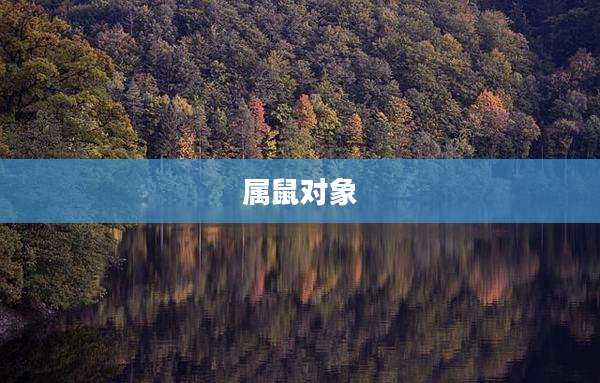 属鼠对象
