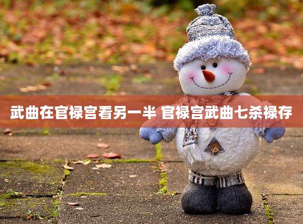 武曲在官禄宫看另一半 官禄宫武曲七杀禄存