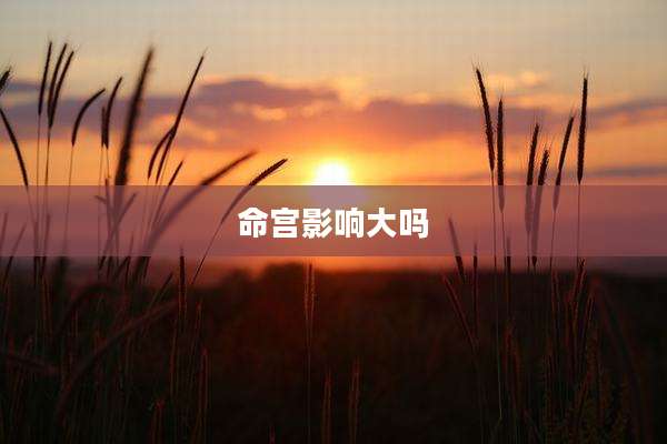 命宫影响大吗