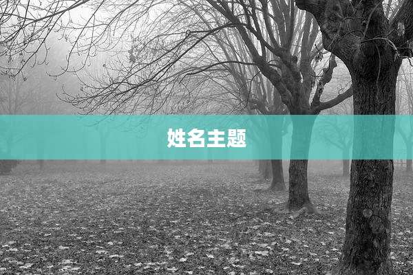 姓名主题