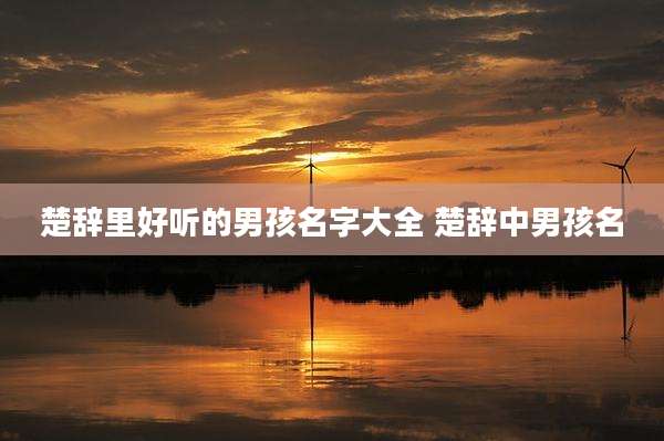 楚辞里好听的男孩名字大全 楚辞中男孩名