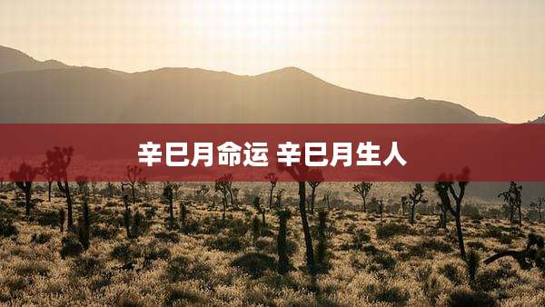 辛巳月命运 辛巳月生人