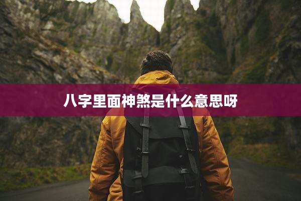 八字里面神煞是什么意思呀