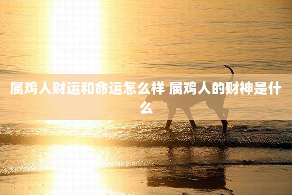属鸡人财运和命运怎么样 属鸡人的财神是什么