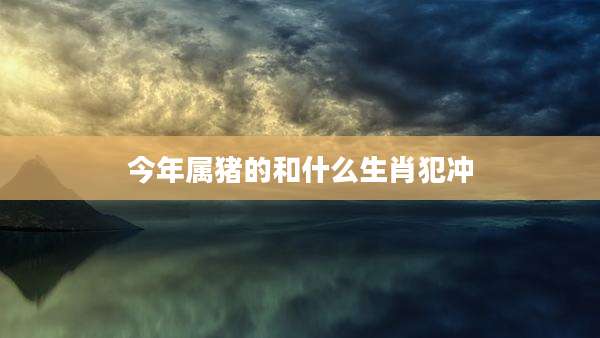 今年属猪的和什么生肖犯冲
