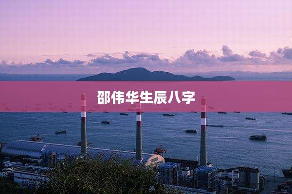 邵伟华生辰八字