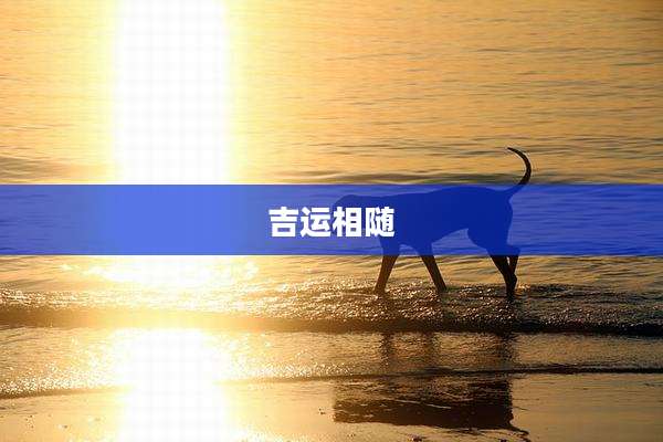 吉运相随