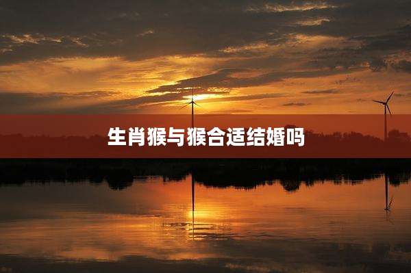 生肖猴与猴合适结婚吗