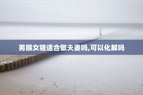 男猴女猪适合做夫妻吗,可以化解吗