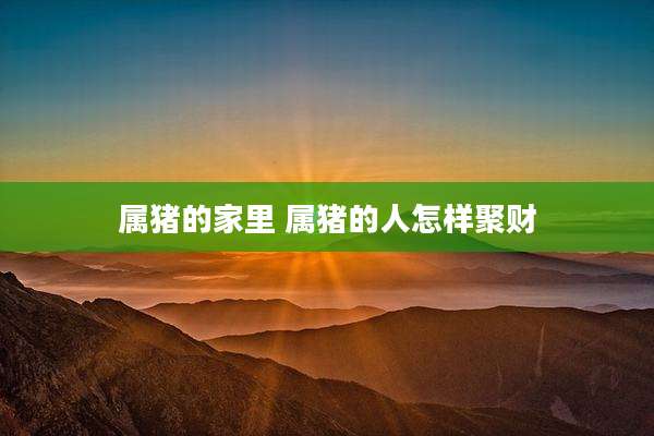 属猪的家里 属猪的人怎样聚财