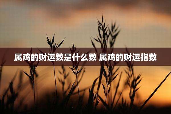 属鸡的财运数是什么数 属鸡的财运指数