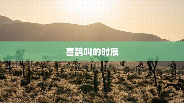 喜鹊叫的时辰