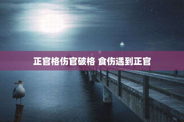 正官格伤官破格 食伤遇到正官