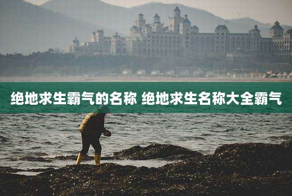 绝地求生霸气的名称 绝地求生名称大全霸气