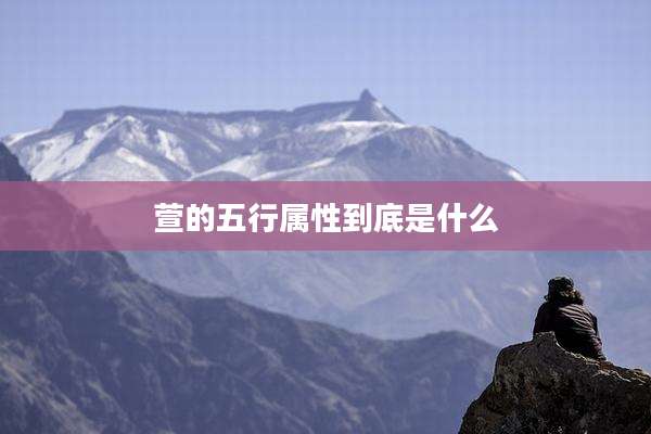 萱的五行属性到底是什么