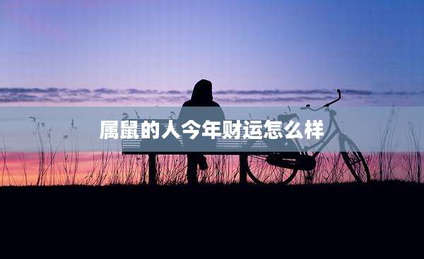 属鼠的人今年财运怎么样