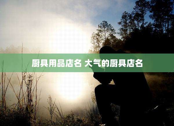 厨具用品店名 大气的厨具店名