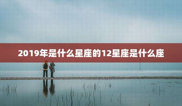 2019年是什么星座的12星座是什么座