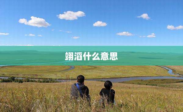翊滔什么意思