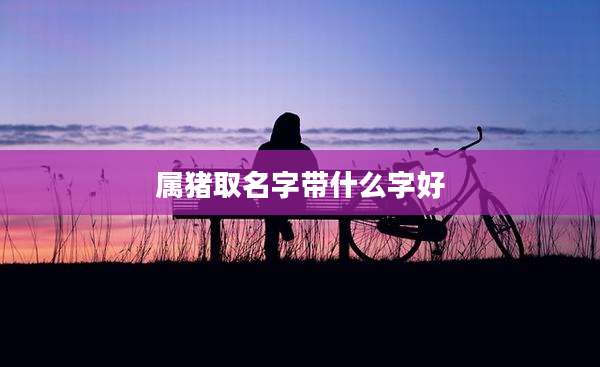 属猪取名字带什么字好