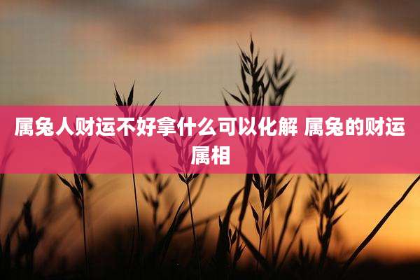 属兔人财运不好拿什么可以化解 属兔的财运属相