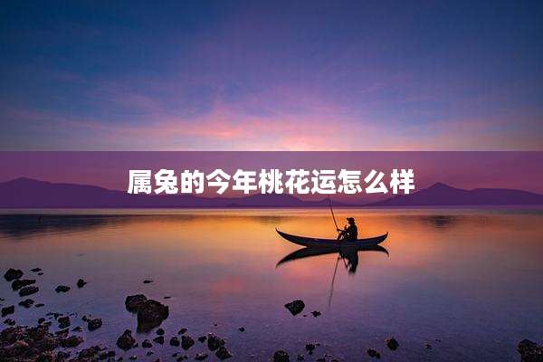 属兔的今年桃花运怎么样