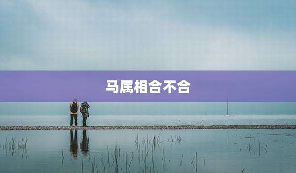 马属相合不合