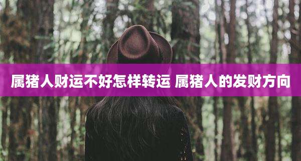 属猪人财运不好怎样转运 属猪人的发财方向