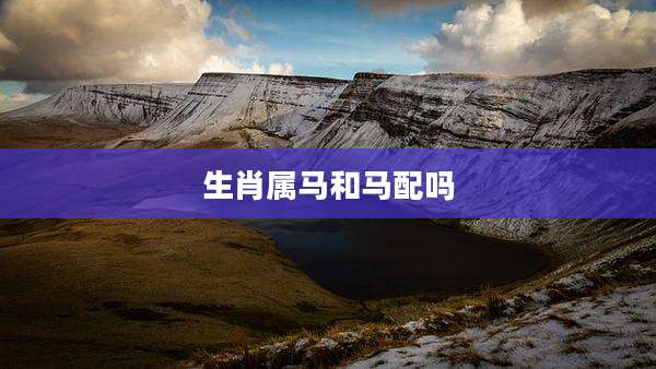 生肖属马和马配吗