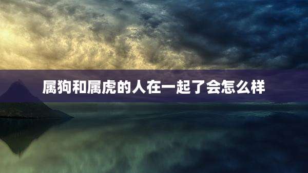 属狗和属虎的人在一起了会怎么样