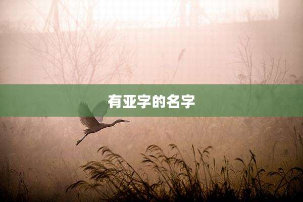 有亚字的名字